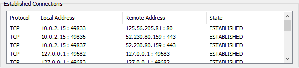Display or terminate established TCP connections